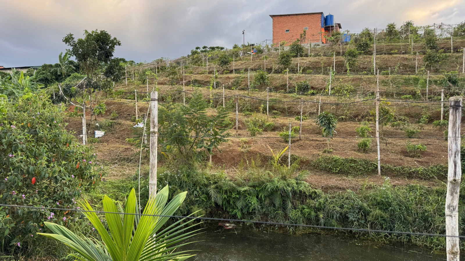 Đất Nền Bảo Lộc