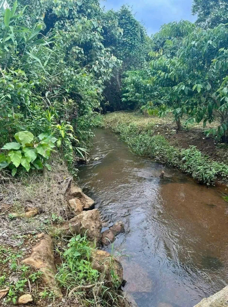 Đất Nền Bảo Lộc