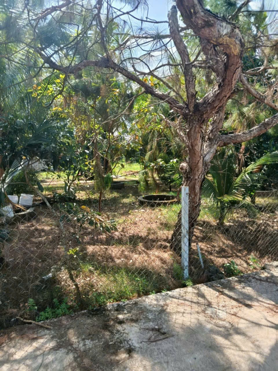 Đất nền Bảo Lộc