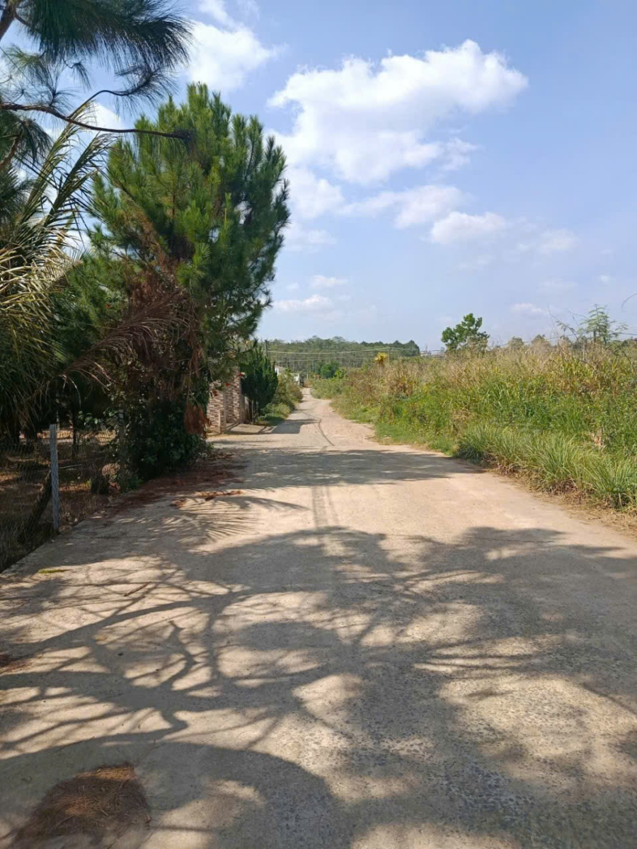 Đất nền Bảo Lộc