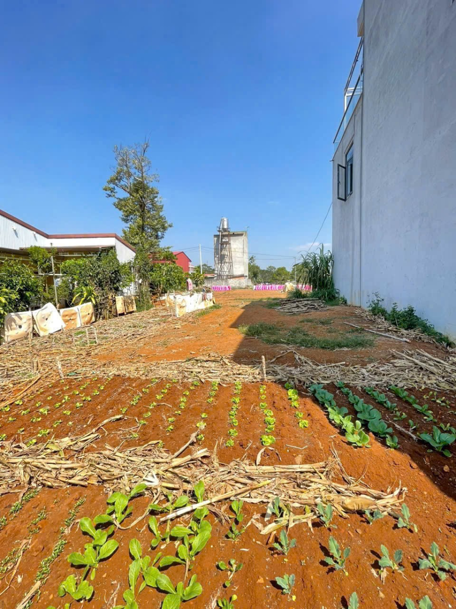 Đất Nền Bảo Lộc