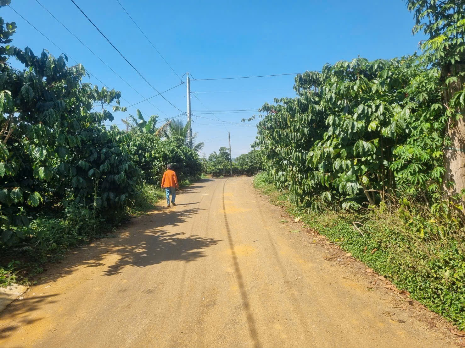 Đất Nền Bảo Lộc