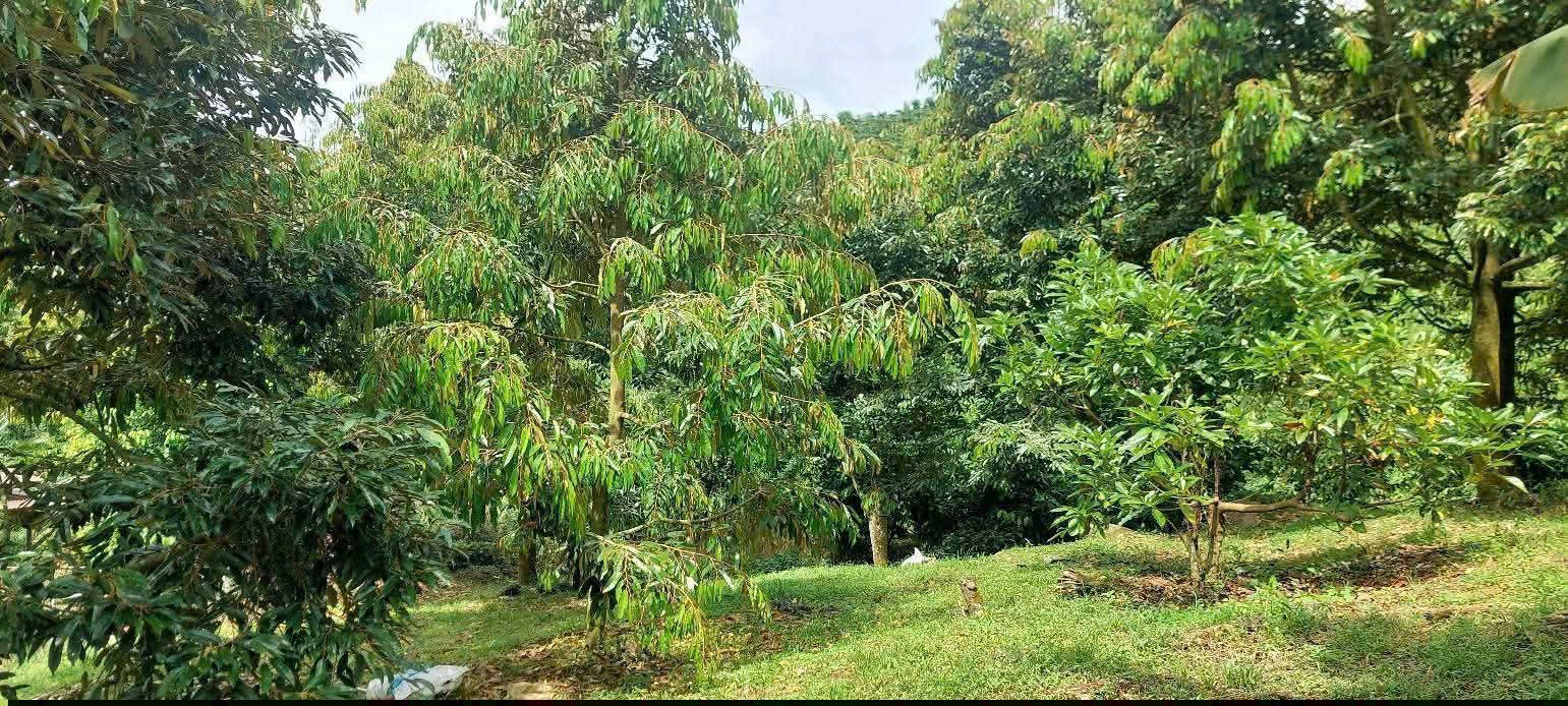 Đất Nền Bảo Lộc