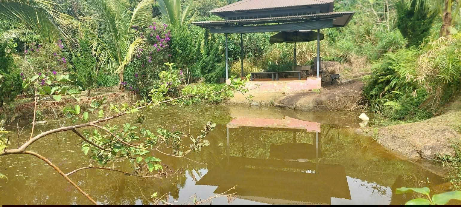 Đất Nền Bảo Lộc