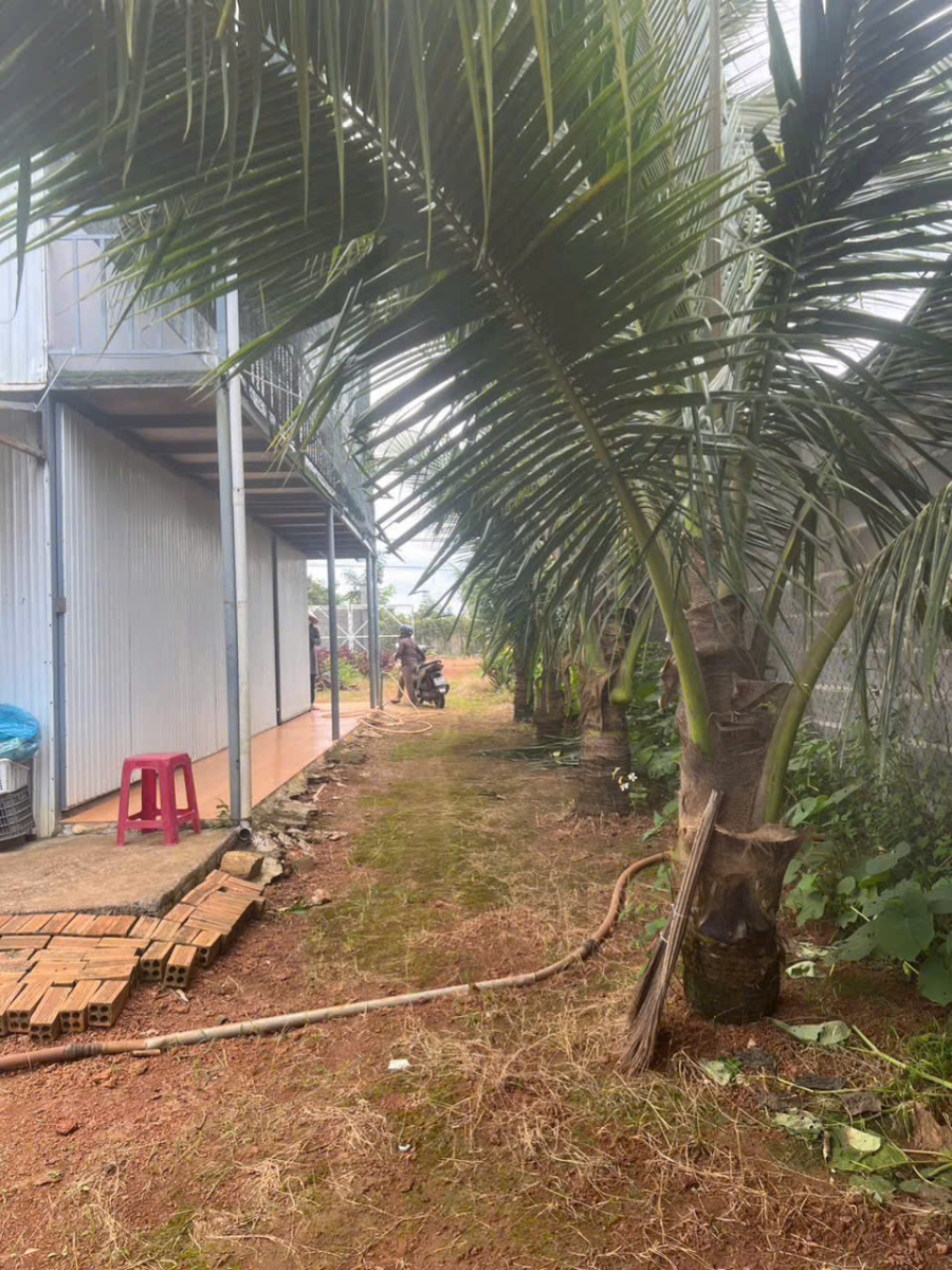 Đất Nền Bảo Lộc