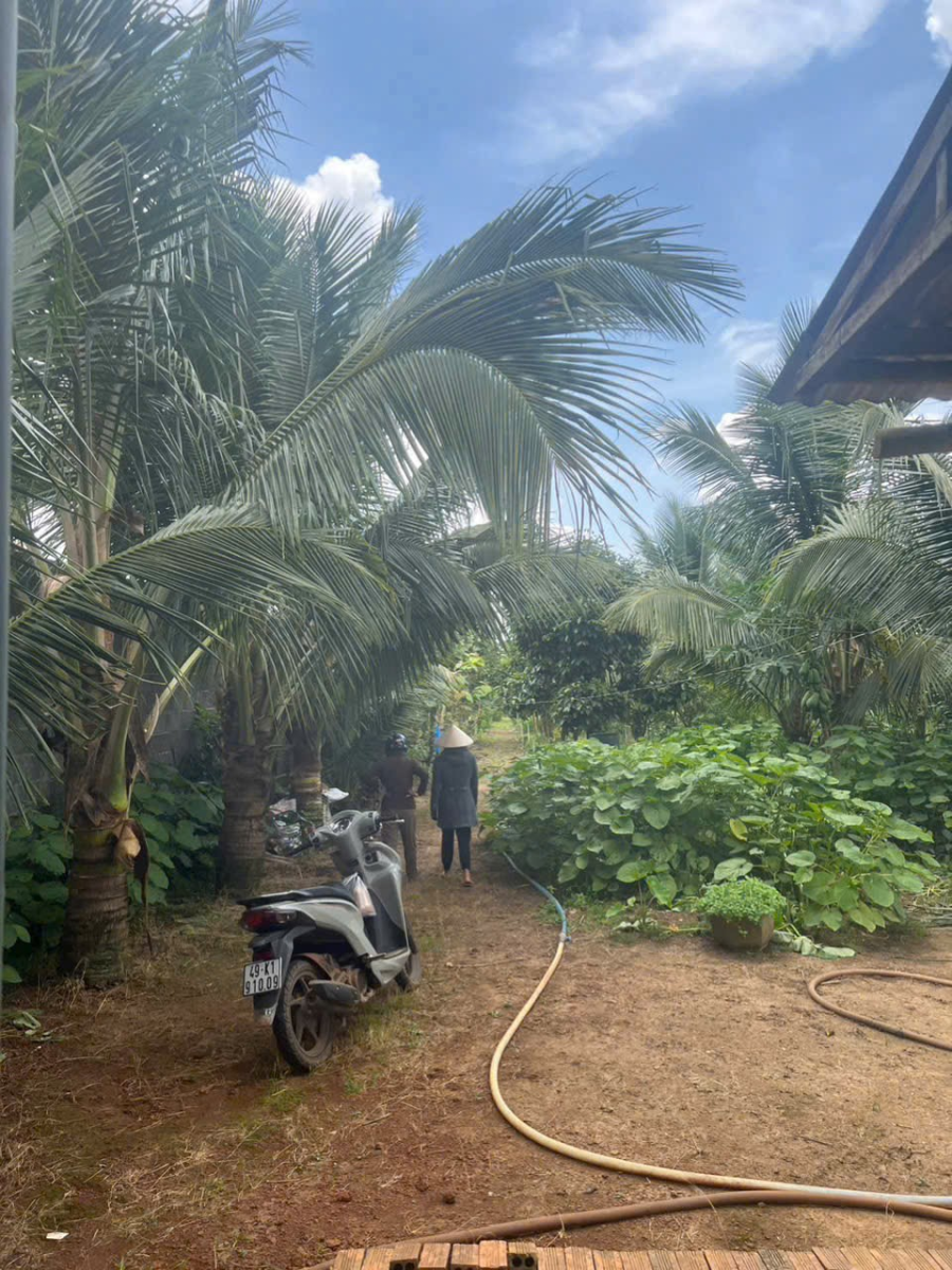 Đất Nền Bảo Lộc