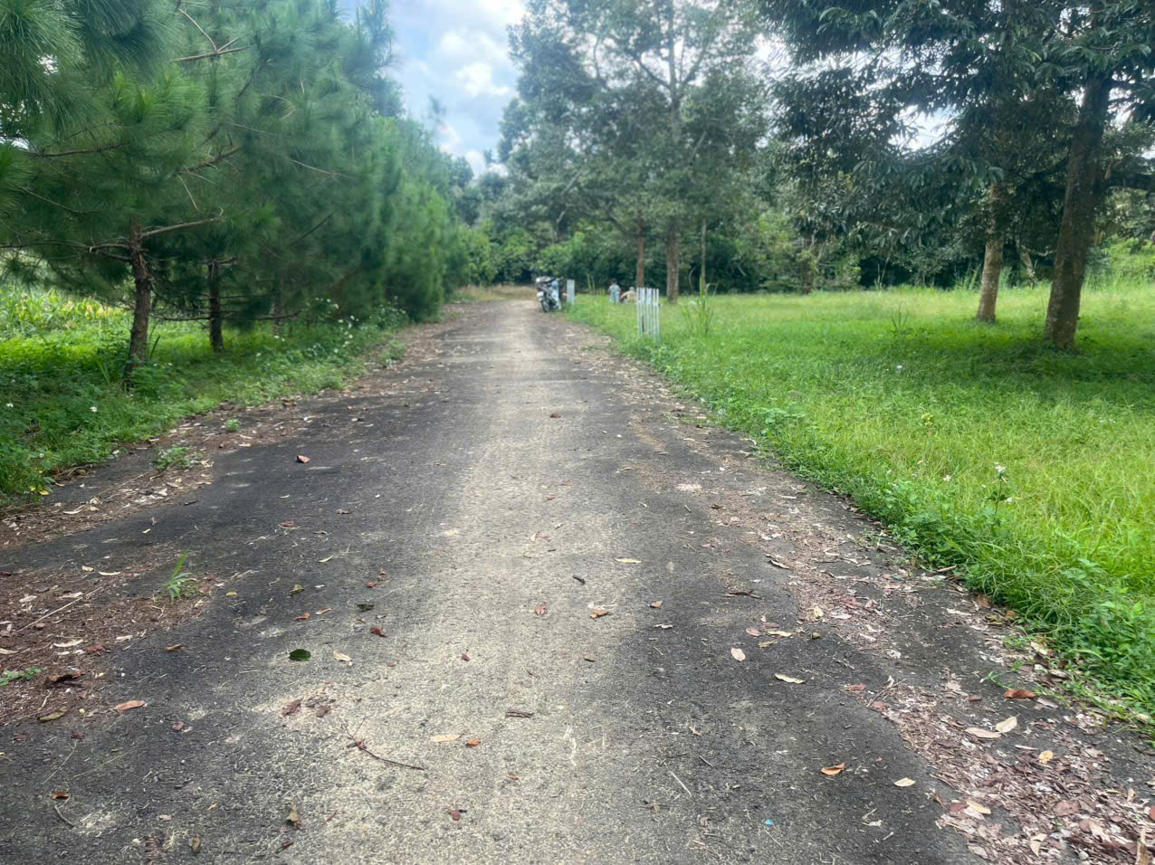 Đất Nền Bảo Lộc