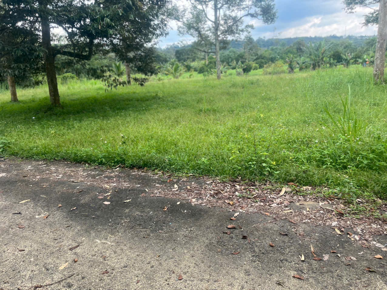 Đất Nền Bảo Lộc