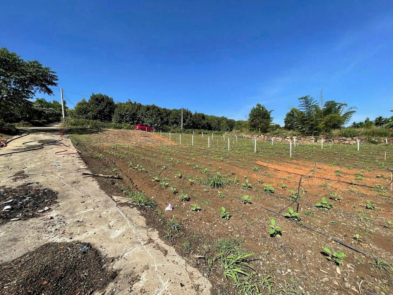 Đất Nền Bảo Lộc