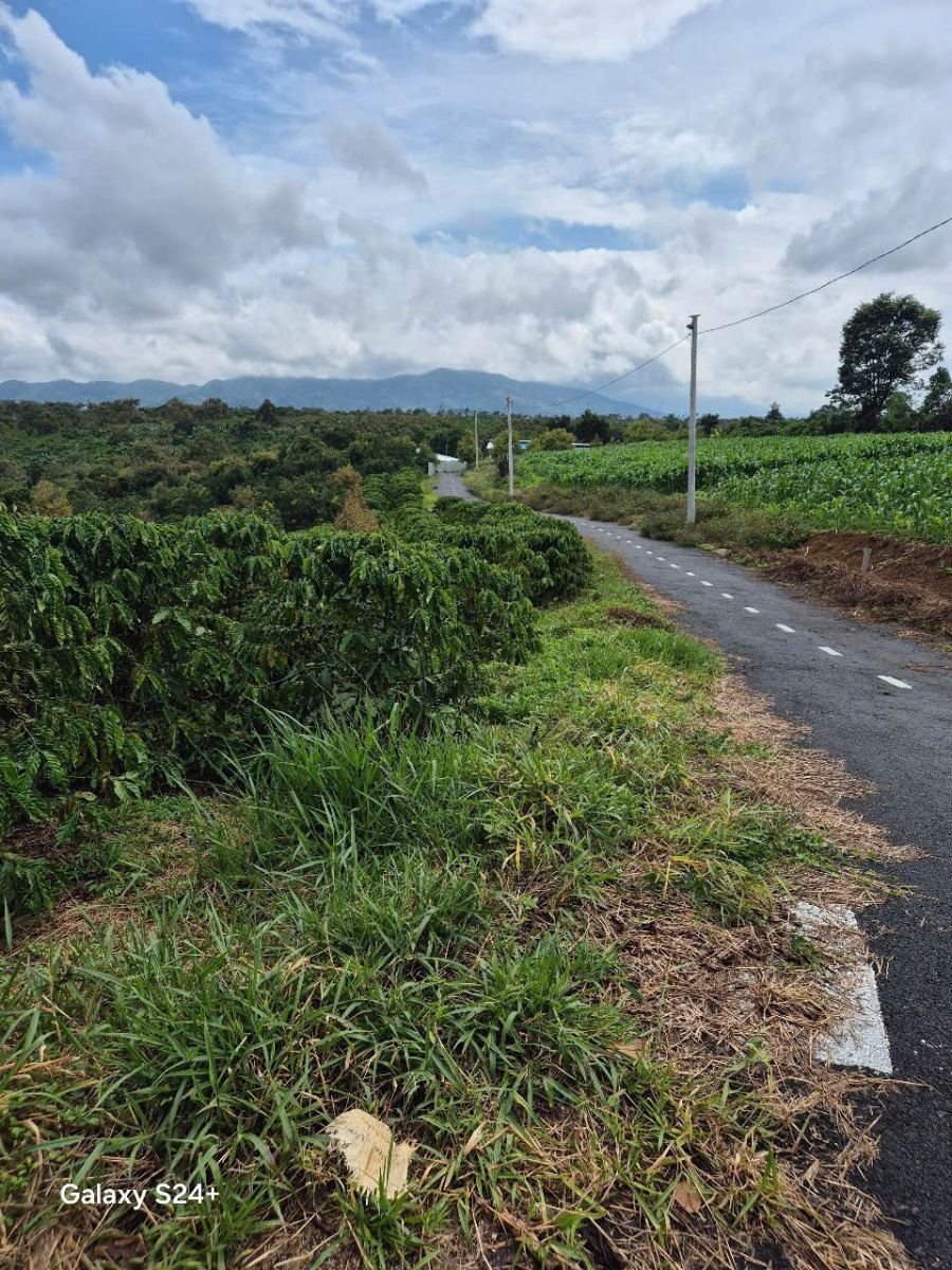 Đất Nền Bảo Lộc