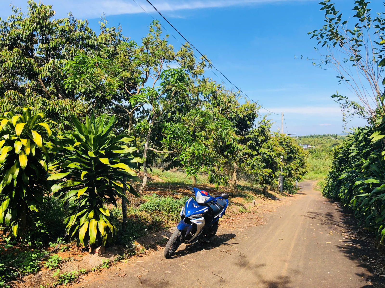 Đất Nền Bảo Lộc