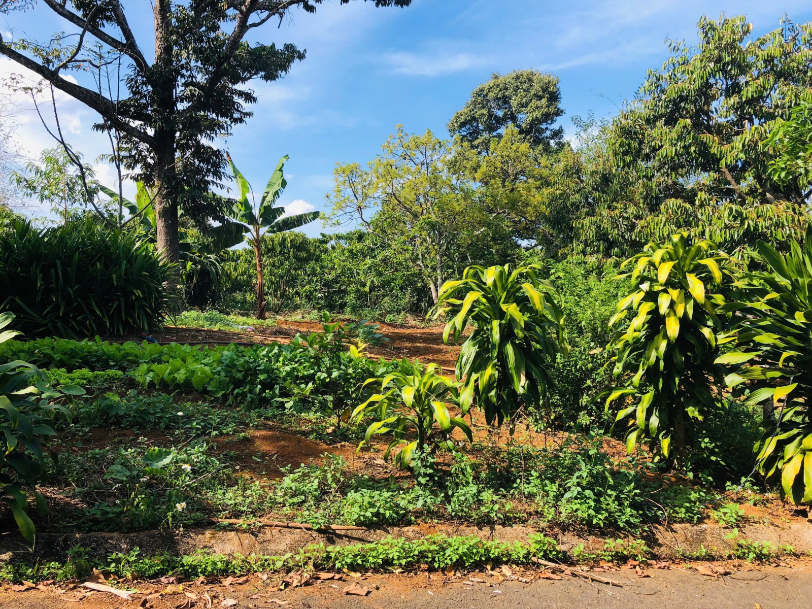 Đất Nền Bảo Lộc