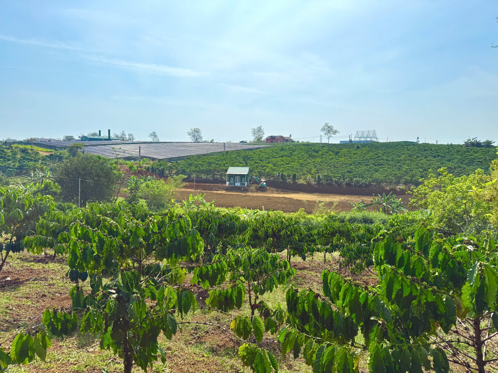 Đất Nền Bảo Lộc