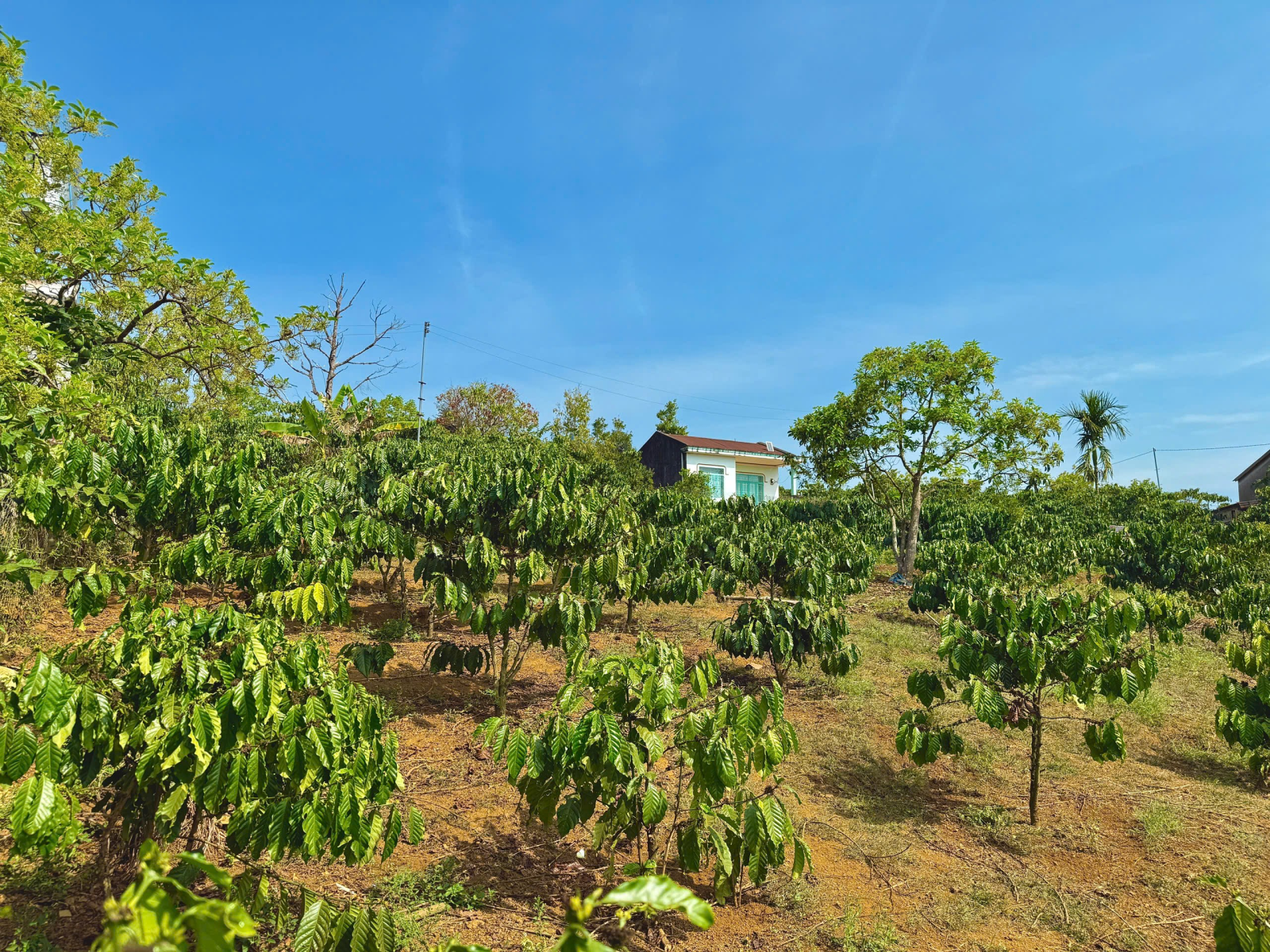 Đất Nền Bảo Lộc