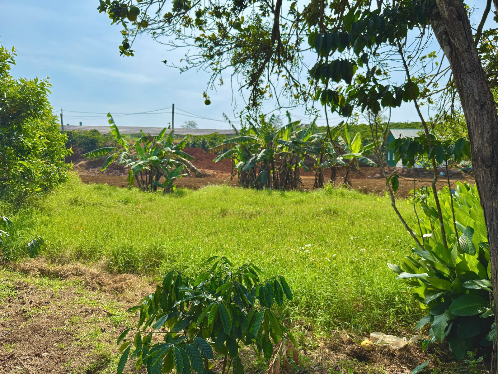 Đất Nền Bảo Lộc