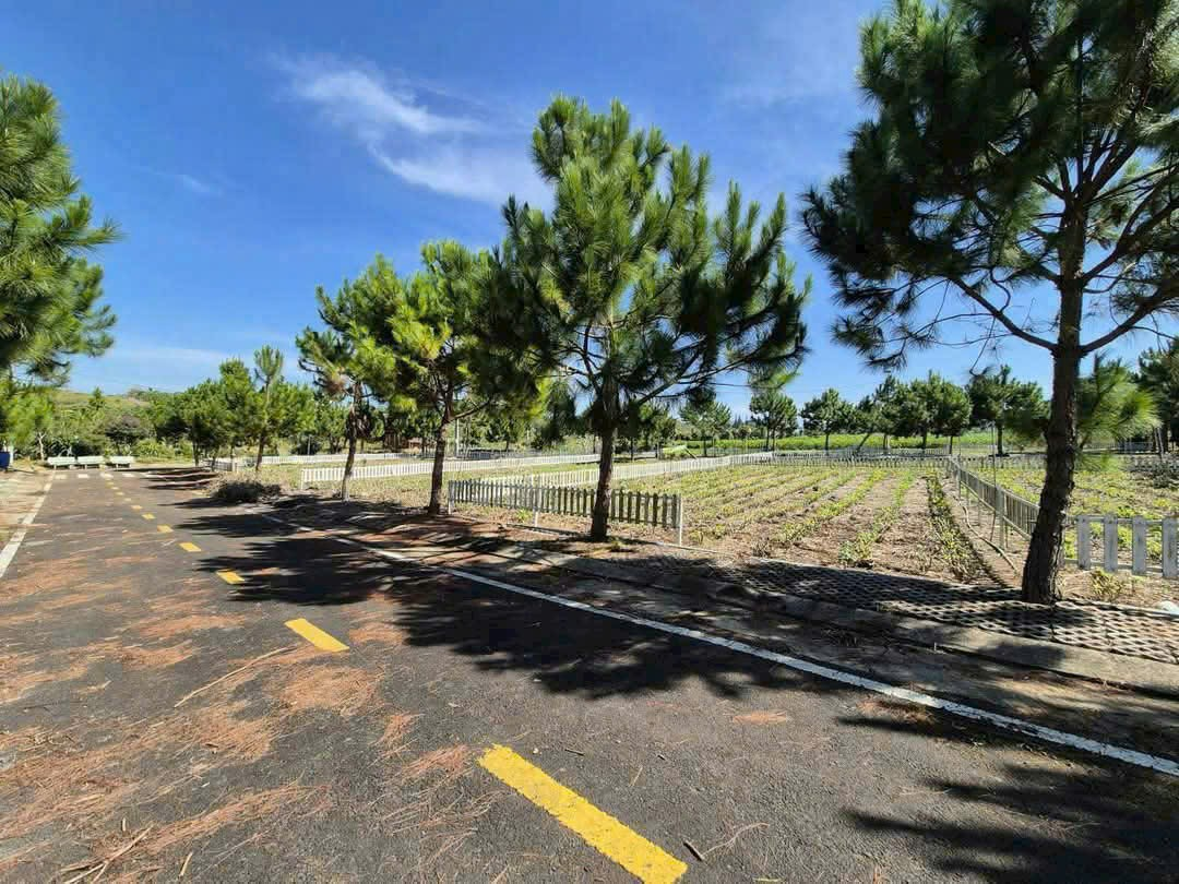 Đất Nền Bảo Lộc