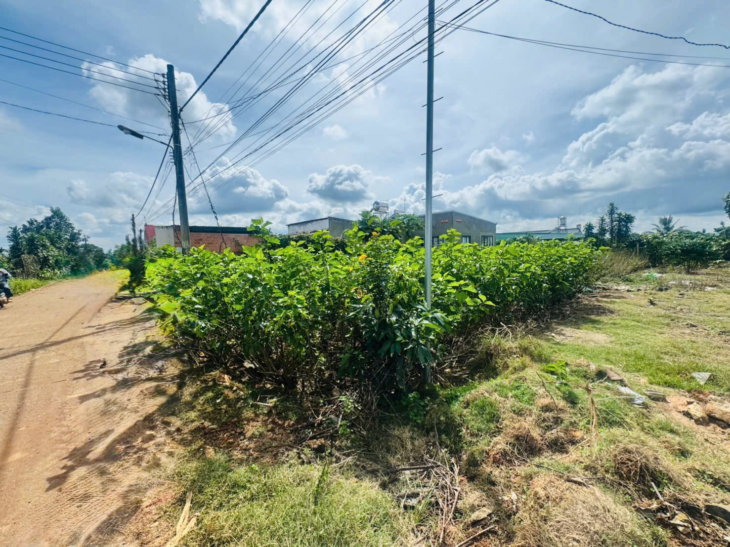 Đất Nền Bảo Lộc