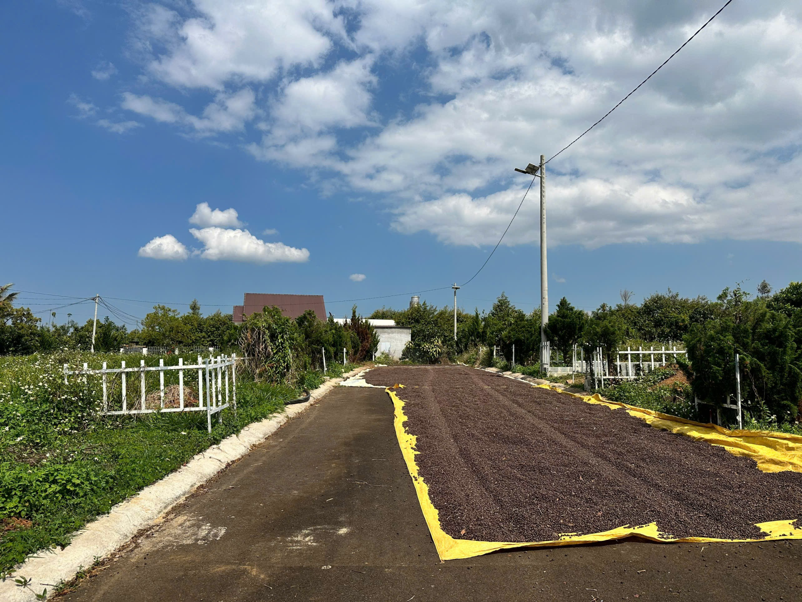 Đất Nền Bảo Lộc