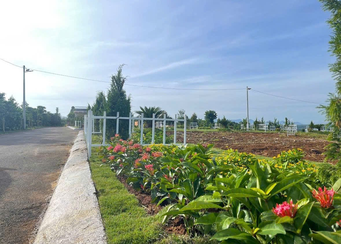 Đất Nền Bảo Lộc