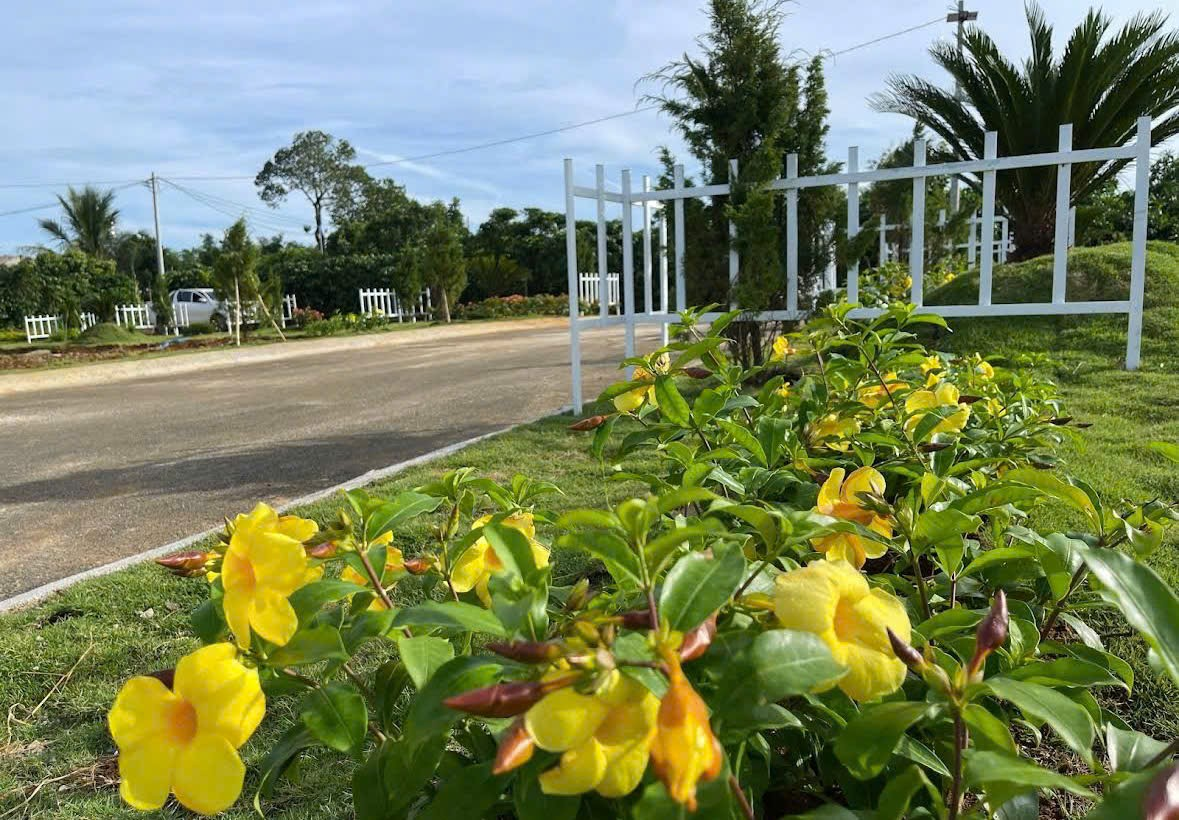 Đất Nền Bảo Lộc