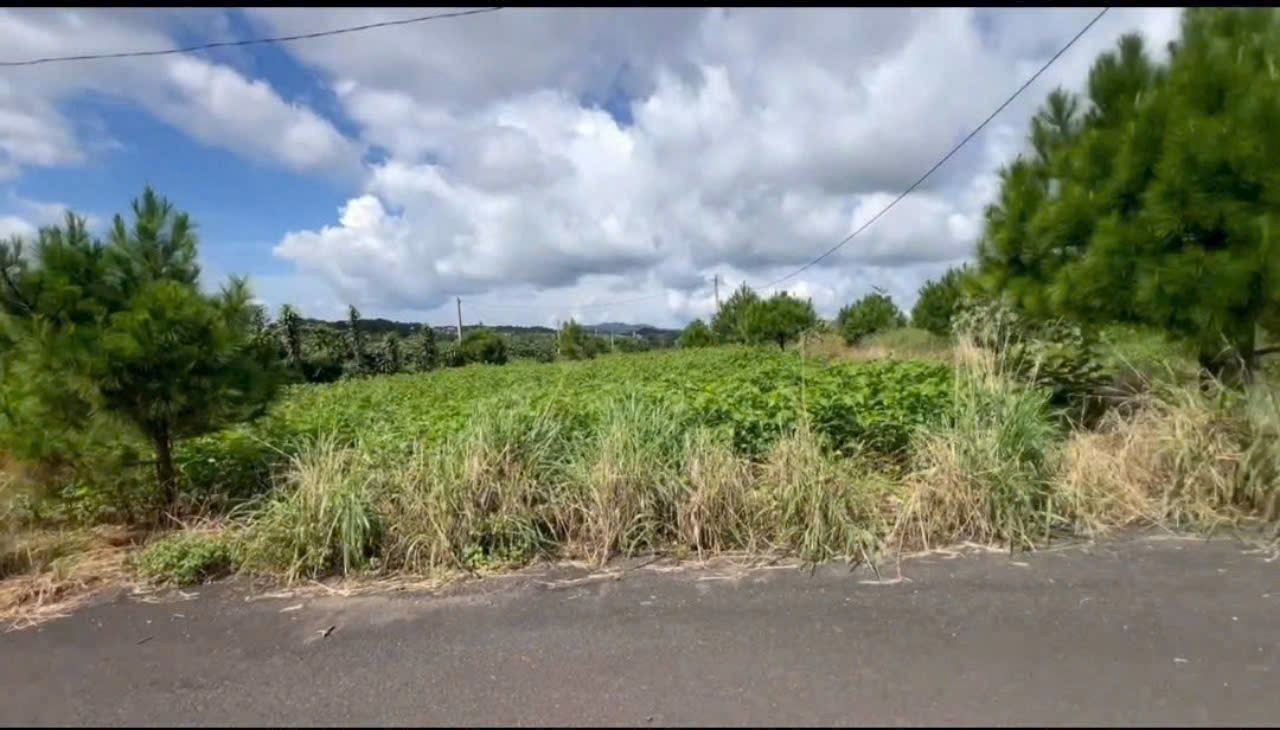 Đất Nền bảo Lộc