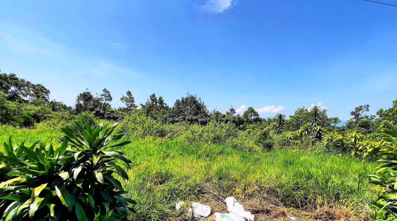 ĐẤT BLAO BẢO LỘC 