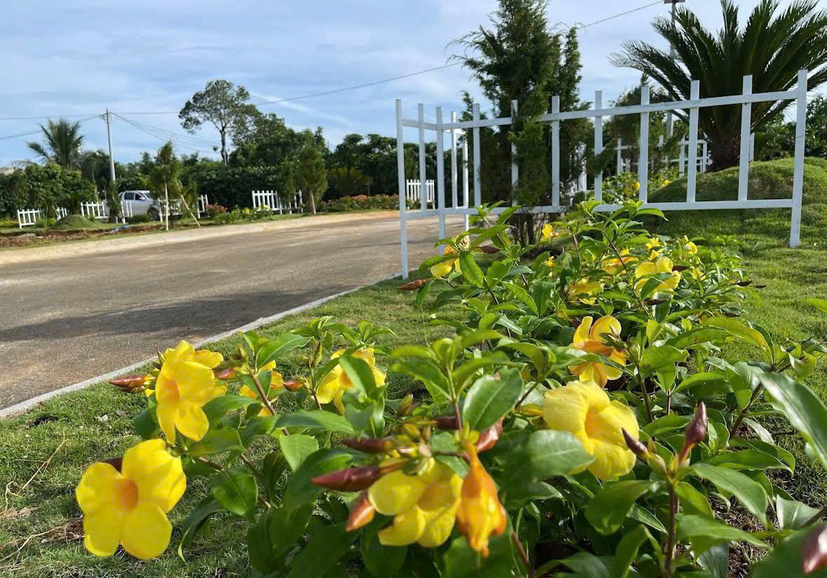 Đất Nền Bảo Lộc