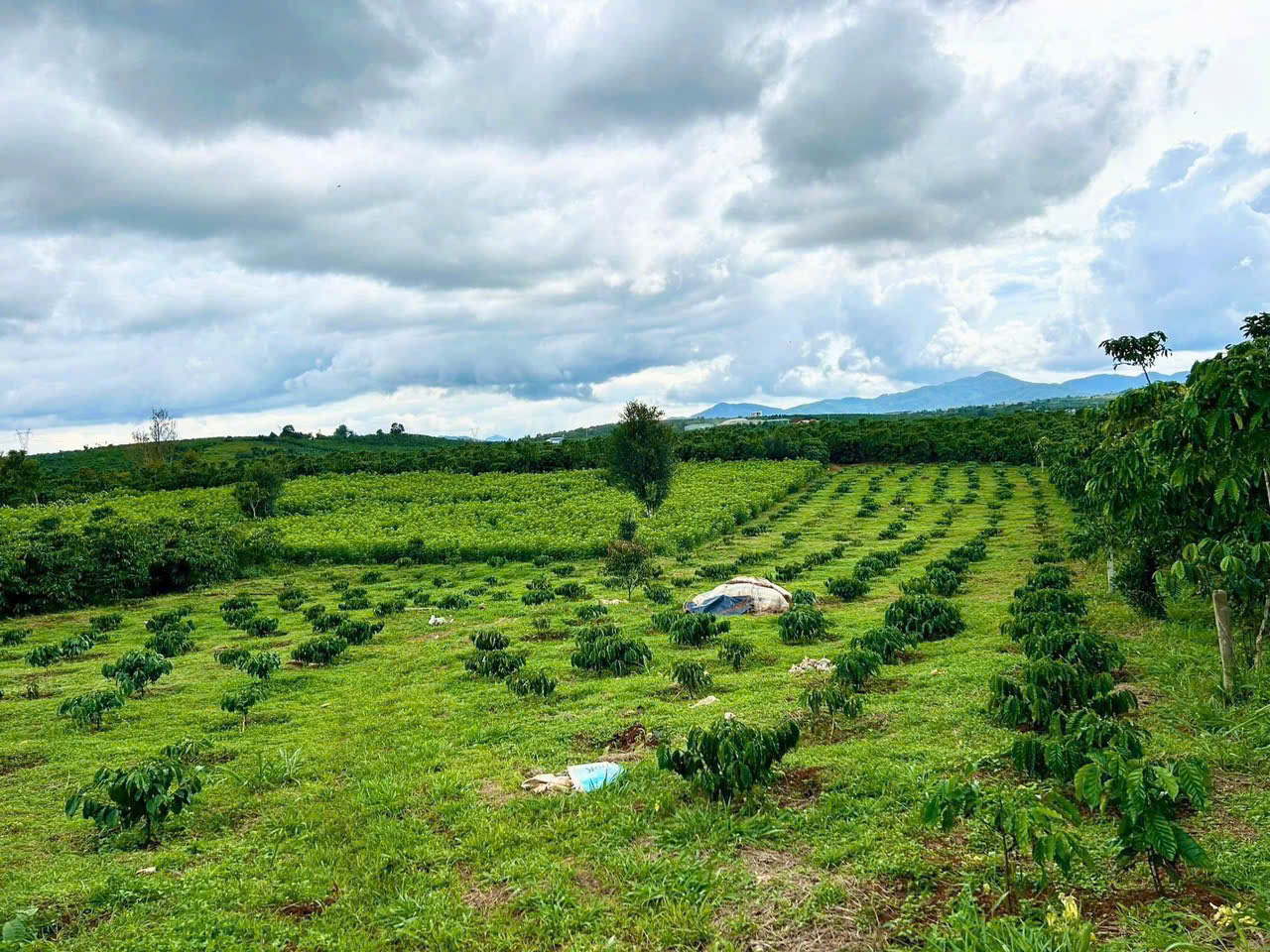 Đất Nền Bảo Lộc