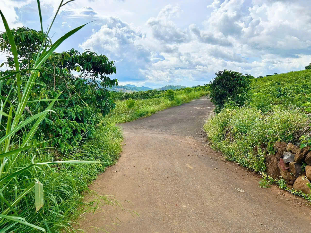 Đất Nền bảo Lộc