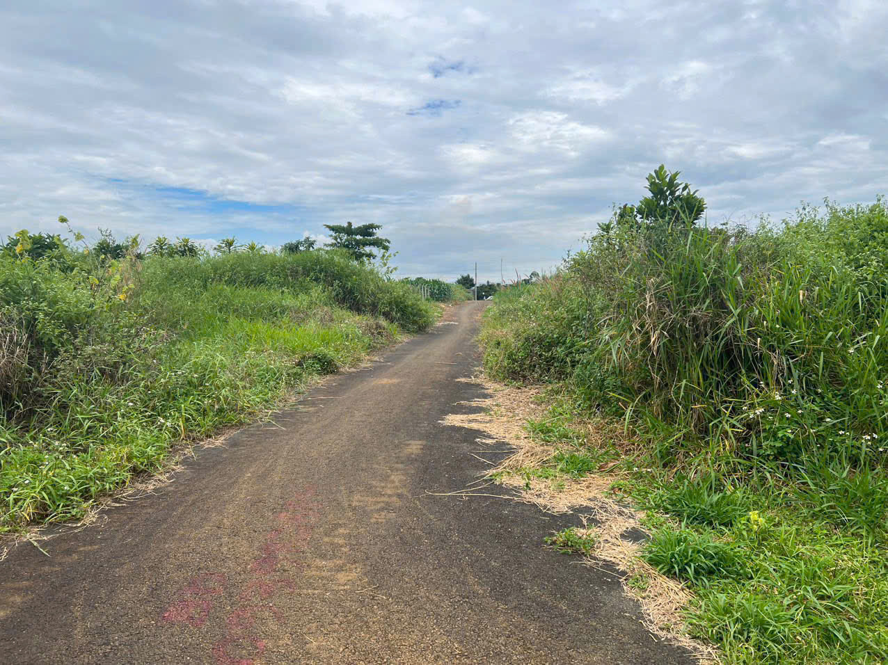 Đất Nền Bảo Lộc