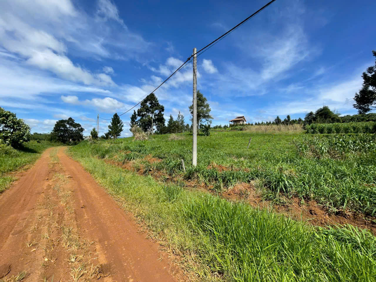 Đất Nền Bảo Lộc