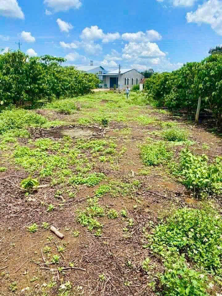 Đất Nền Bảo Lộc