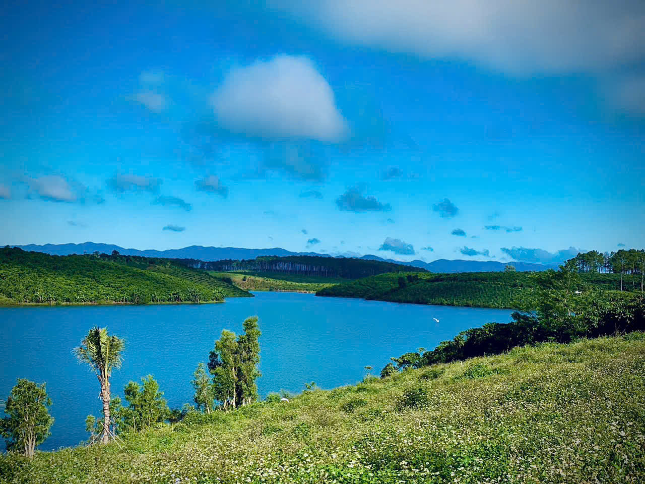 Đất Nền Bảo Lộc