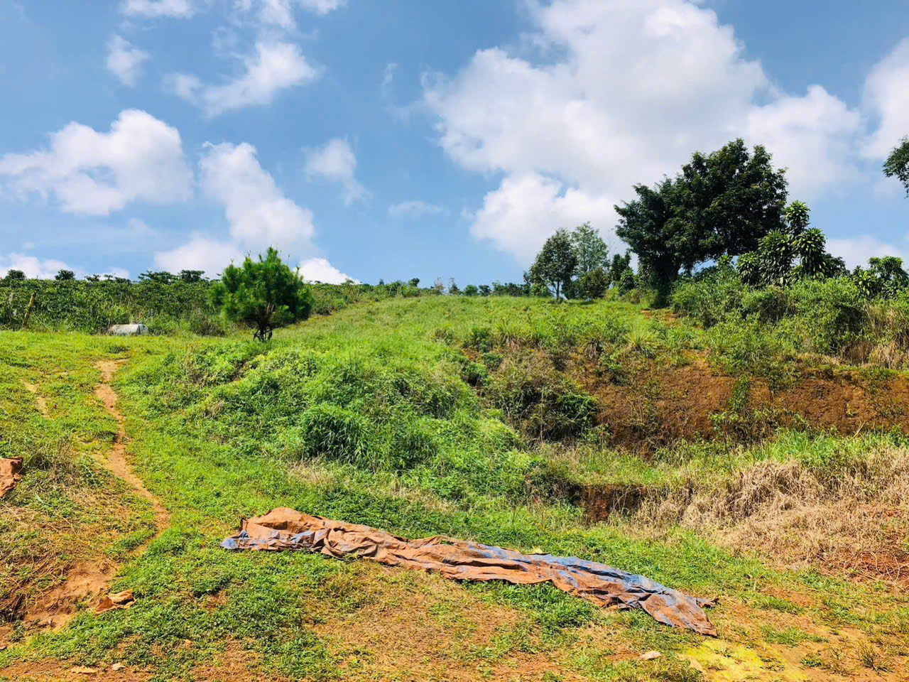 Đất Nền Bảo Lộc 