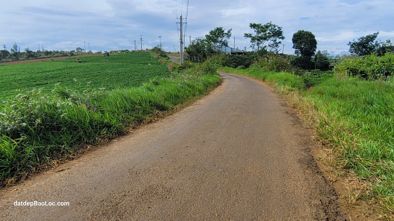 Đất Nền Bảo Lộc