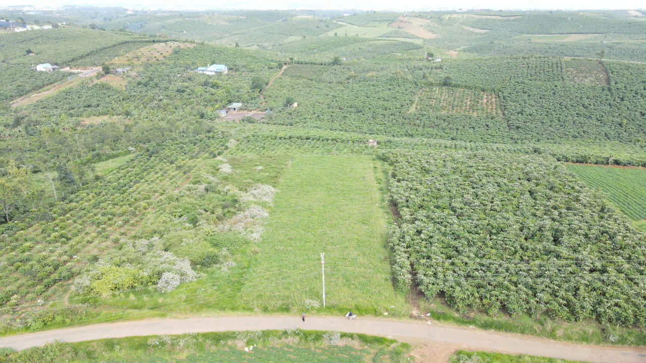 Đất Nền Bảo Lộc