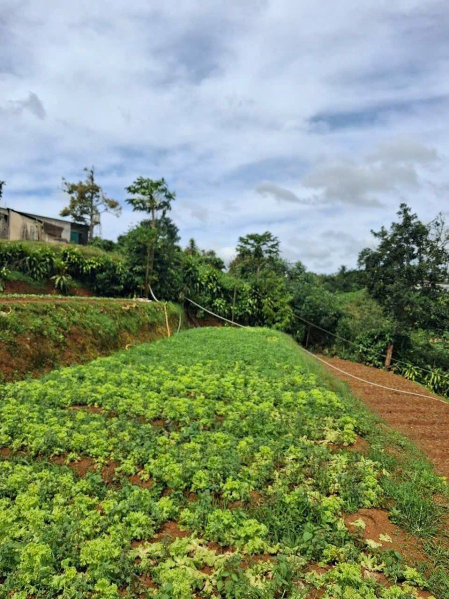 Đất Nền Bảo Lộc