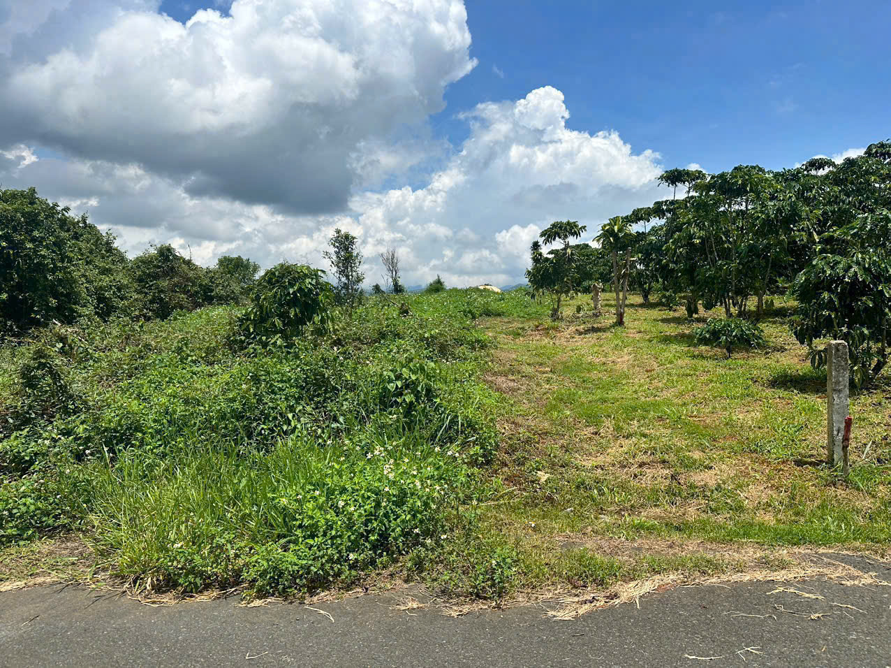 Đất Nền Bảo Lộc