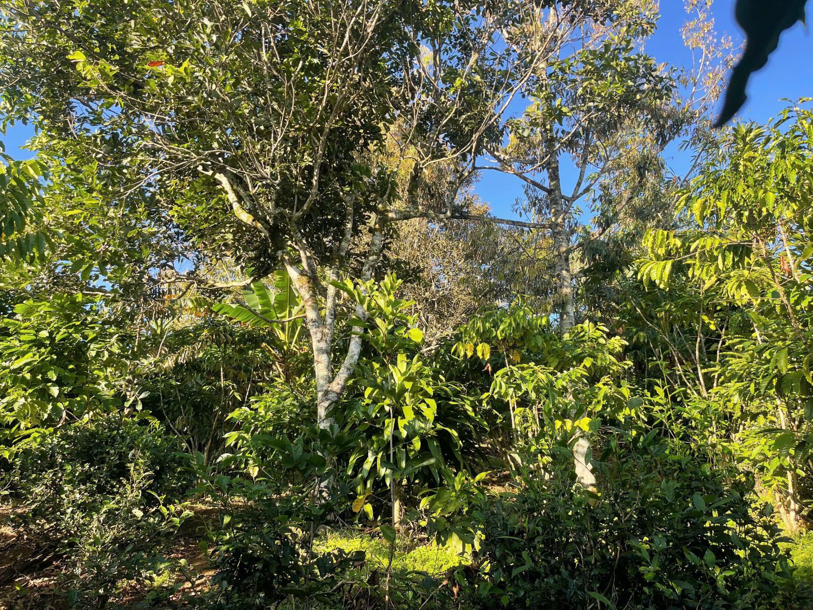 Đất Nền Bảo Lộc