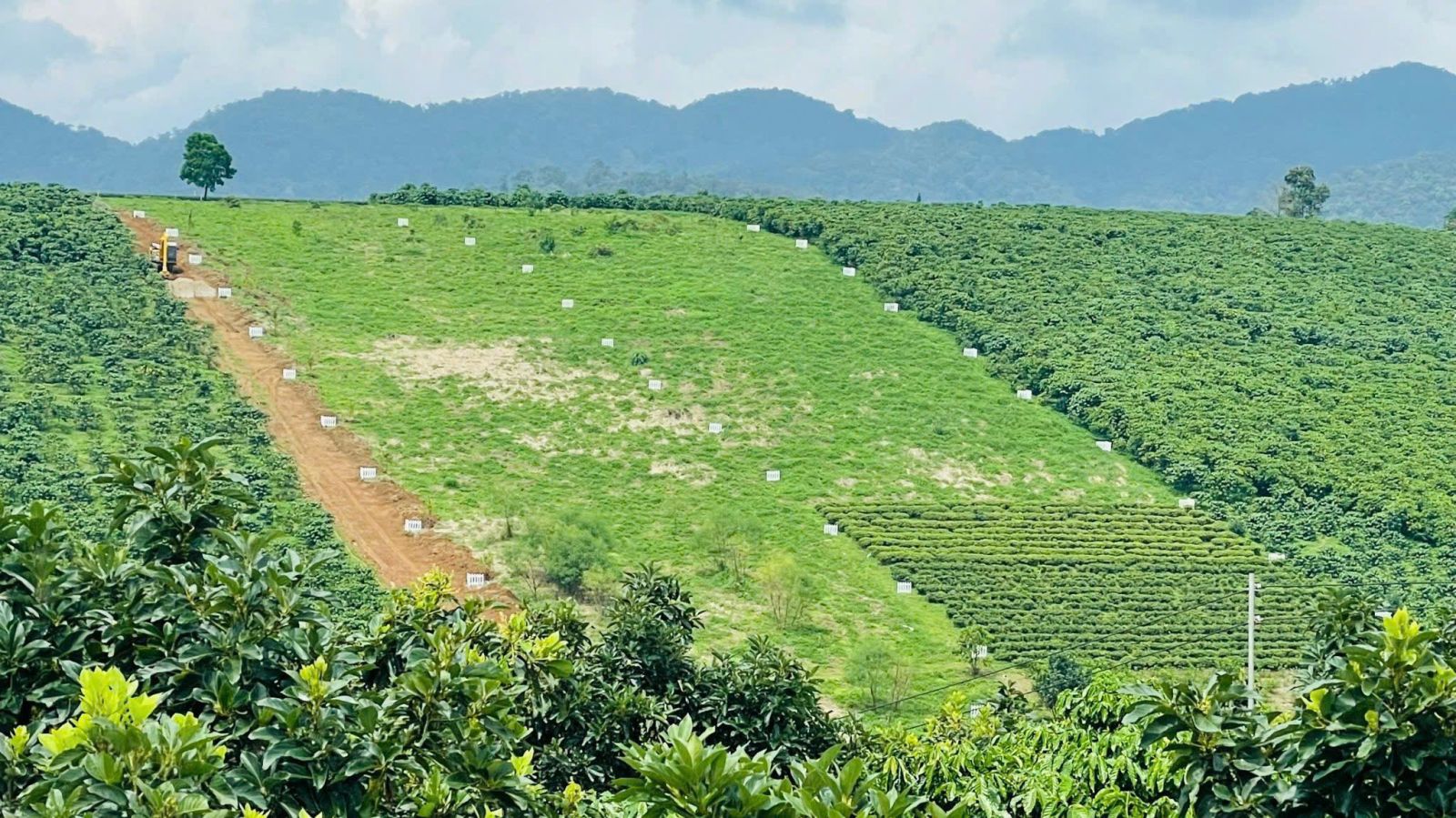 Đất Nền Bảo Lộc