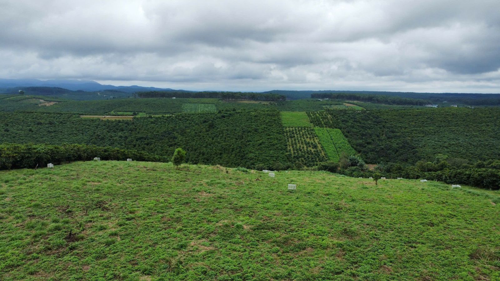Đất Nền Bảo Lộc