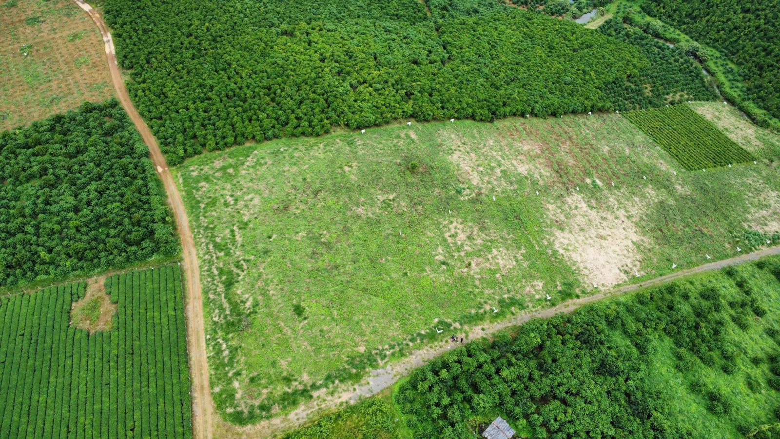 Đất Nền Bảo Lộc