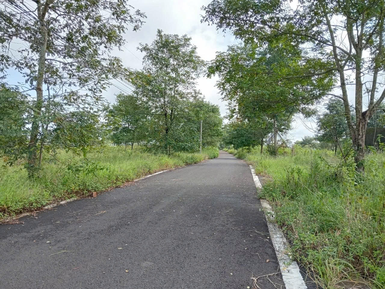 Đất Nền bảo Lộc