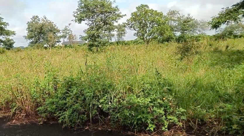 Đất Nền bảo Lộc