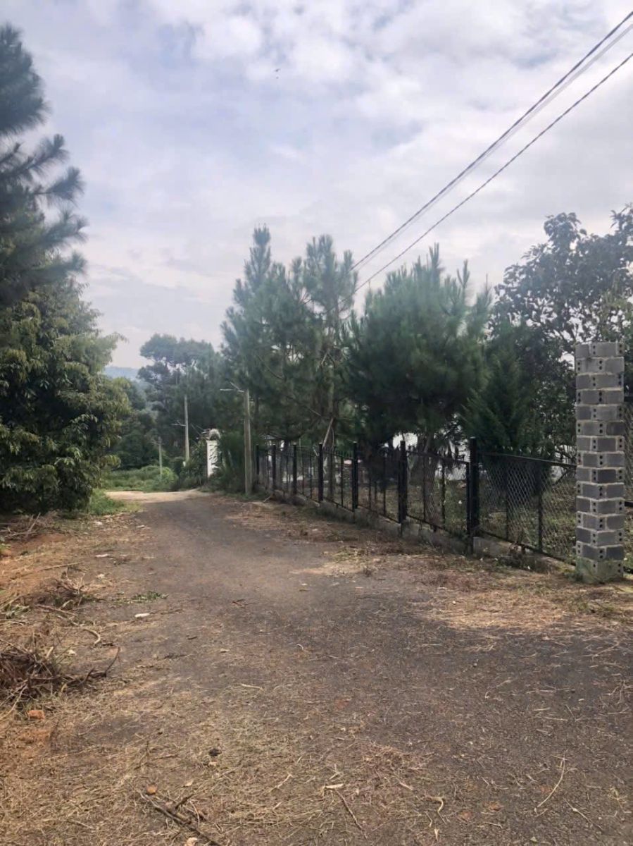 Đất Nền Bảo Lộc