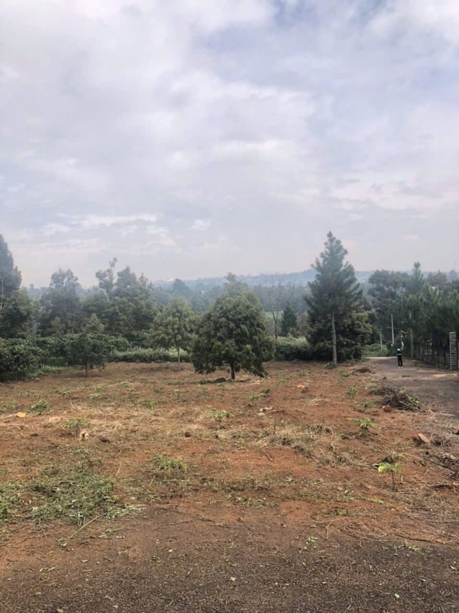 Đất Nền Bảo Lộc