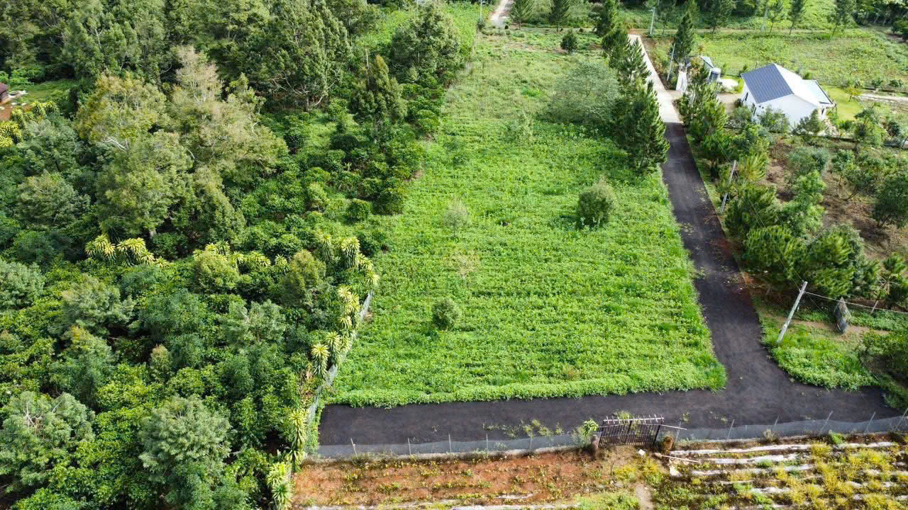 Đất Nền Bảo Lộc