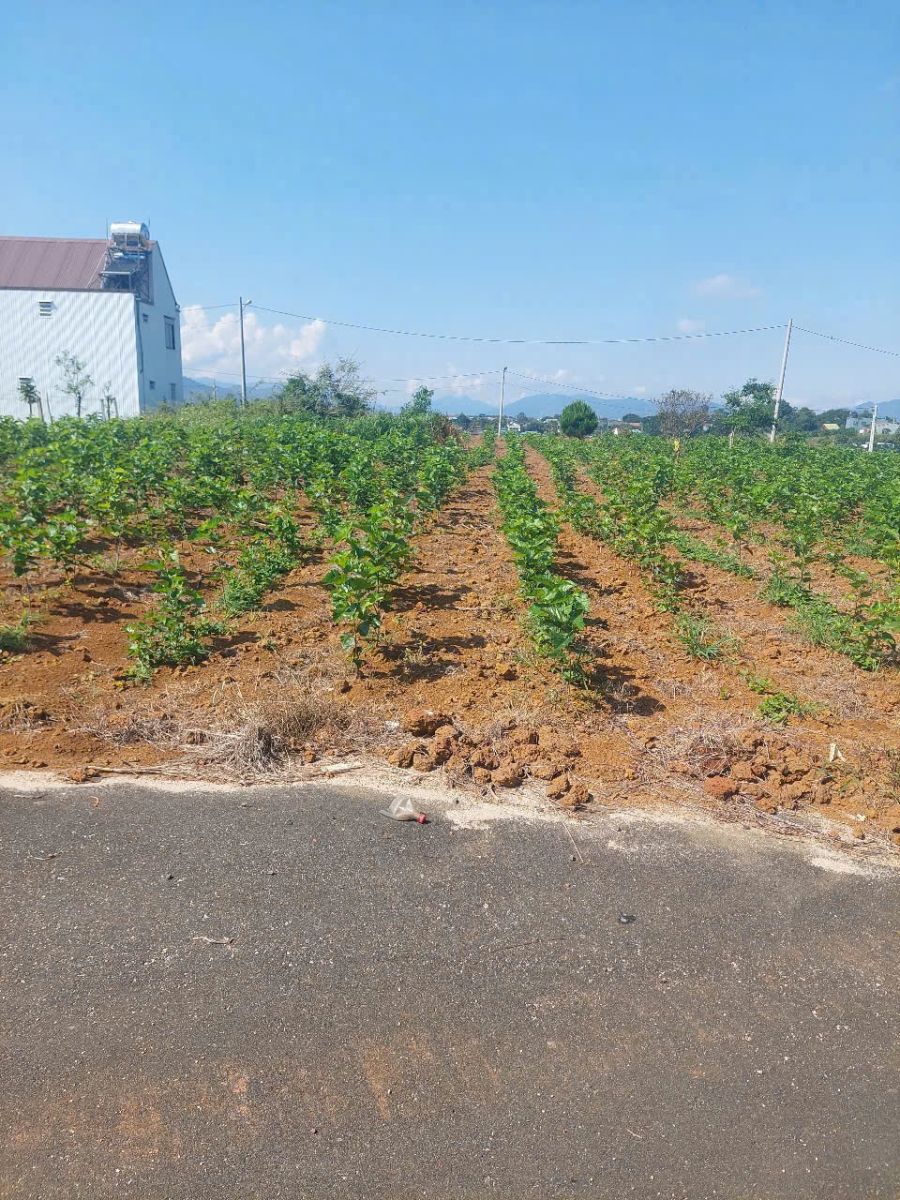 Đất Nền Bảo Lộc