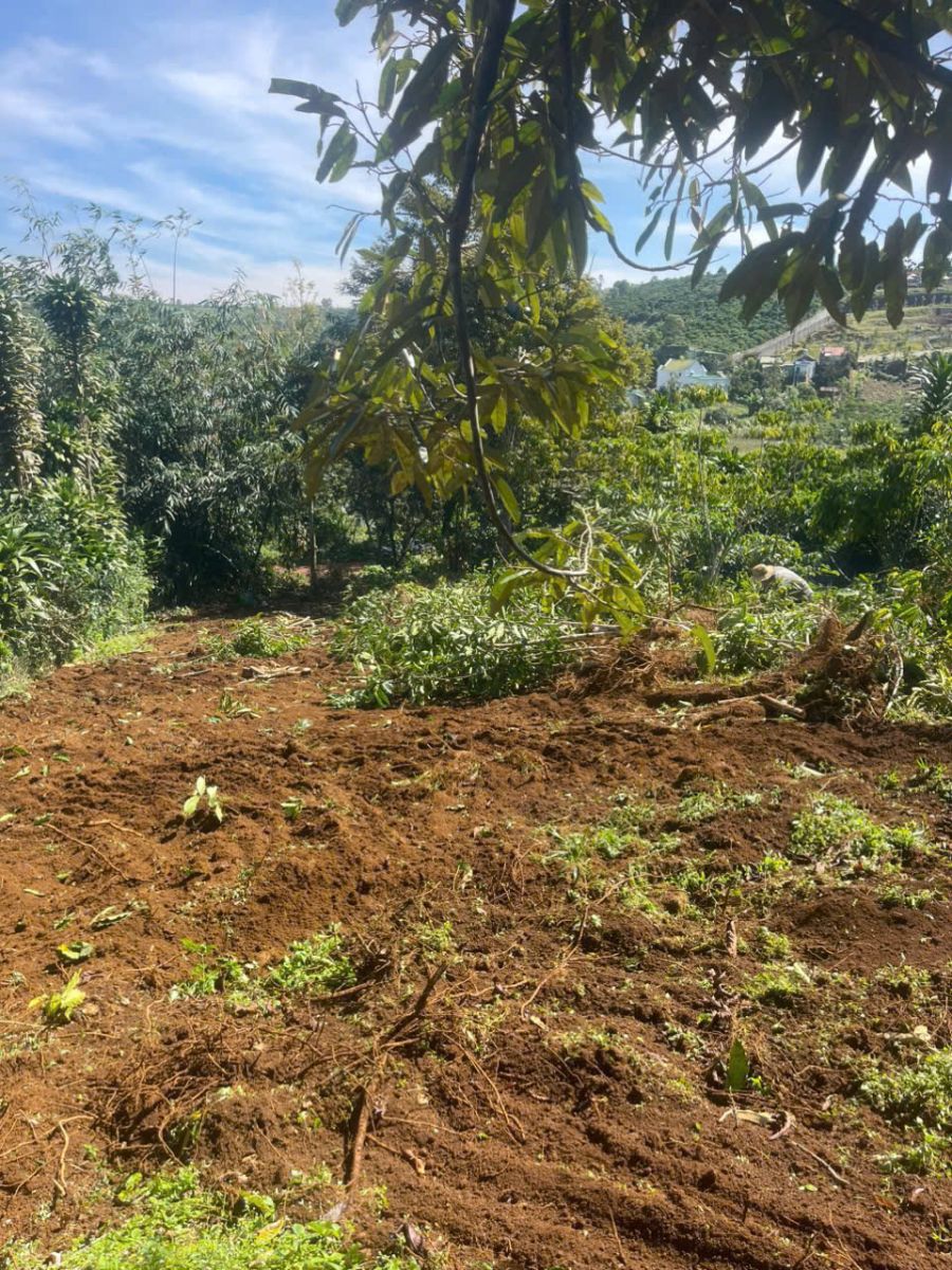 Đất Nền Bảo Lộc