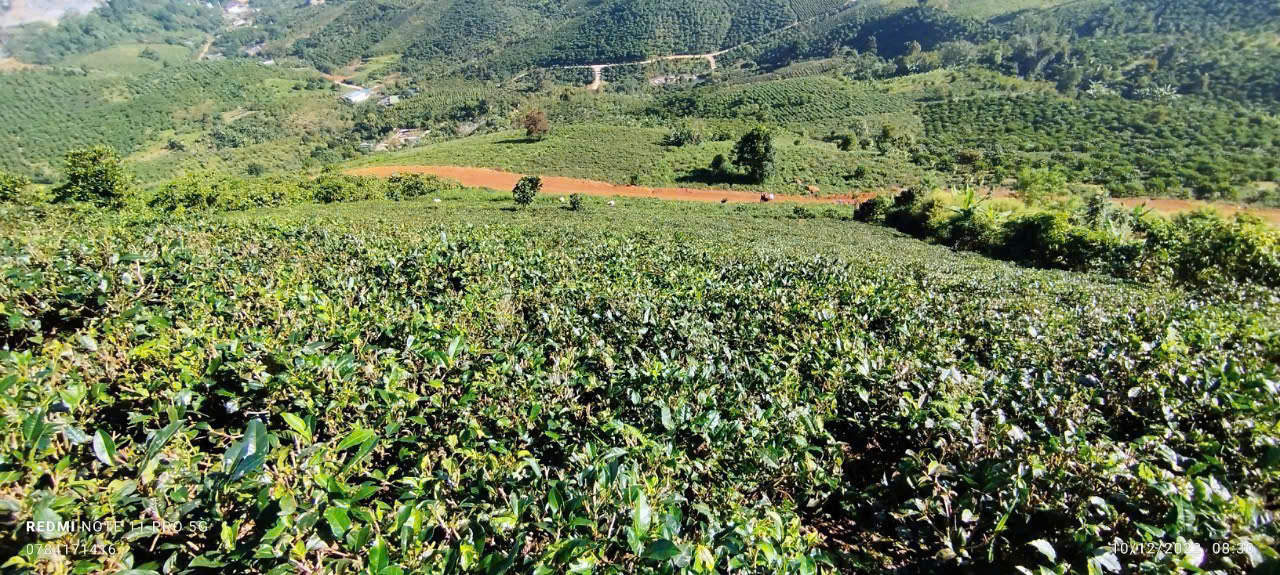 Đất Nền Bảo Lộc